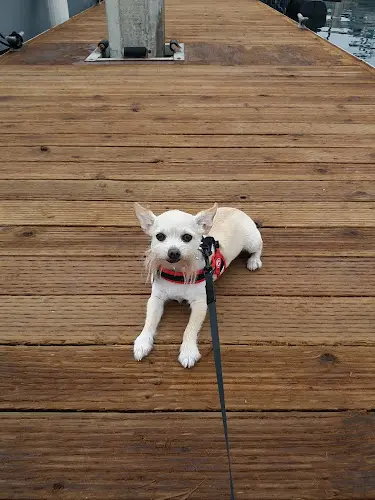 Pet vet Lemos Feed & Pet Supply Santa Barbara