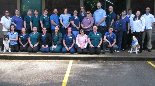 Pet vet VCA North Portland Veterinary Hospital Gresham