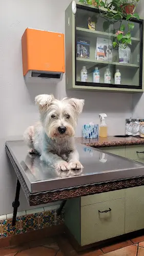 Pet vet Grand Pet Care Center Orange