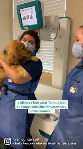 Pet vet Fire Mountain Veterinary Hospital Oceanside