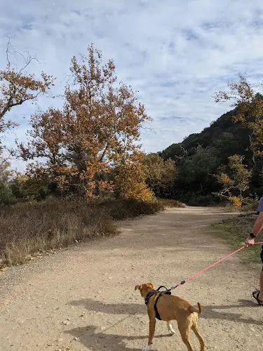 Dog Park San Clemente Park San Diego