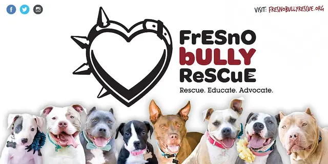 Dog breeder Fresno Bully Rescue, Inc. Fresno
