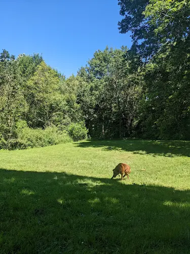 Dog Park Gabriel Dog Park - Summer Gresham