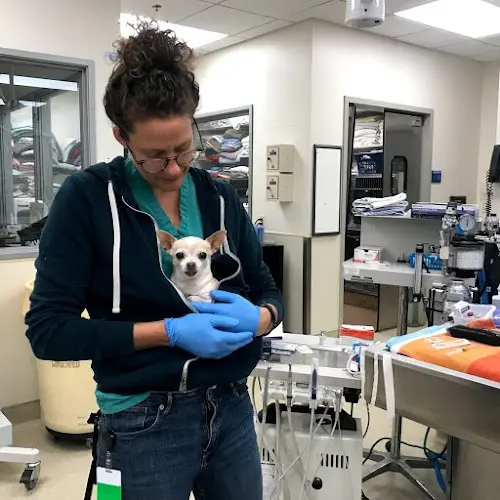 Rescue & Shelter Community Veterinary Clinic Santa Rosa