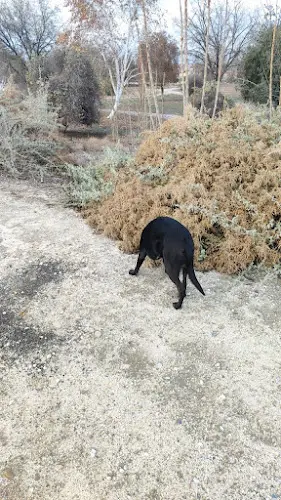 Dog Park Kern River Bike Trail Park Bakersfield