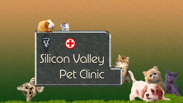 Dog day care center Silicon Valley Pet Clinic Santa Clara