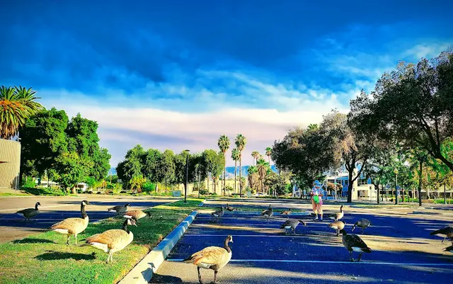 Dog Park Pioneer Park San Bernardino