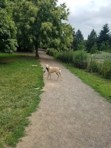 Dog Park Ike Memorial Park Gresham