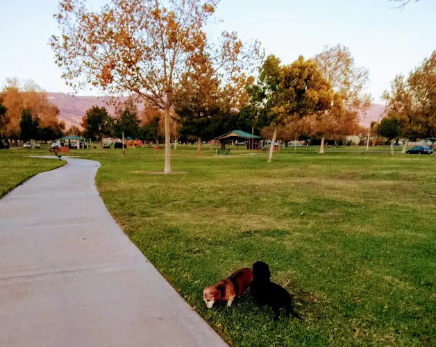 Dog Park Anne Shirrells Park San Bernardino