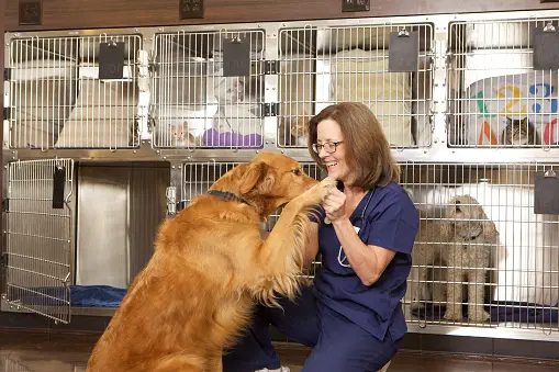 Pet boarding service Veterinarian Garden Care Torrance