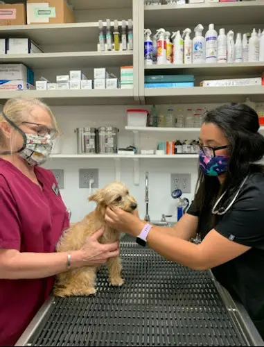 Pet vet Town & Country Vet Hospital and Pleasanton Pet Hotel Coleen Dossey DVM Livermore