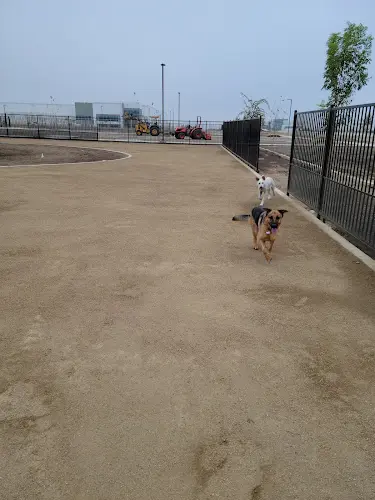 Dog Park Orangecrest Dog Park Riverside