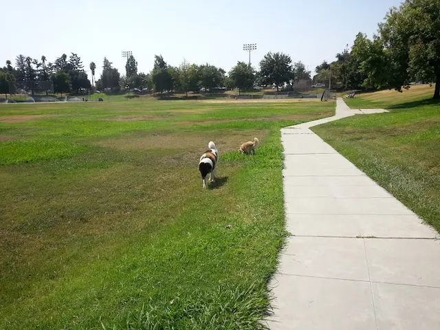 Dog Park Rotary Park Fresno