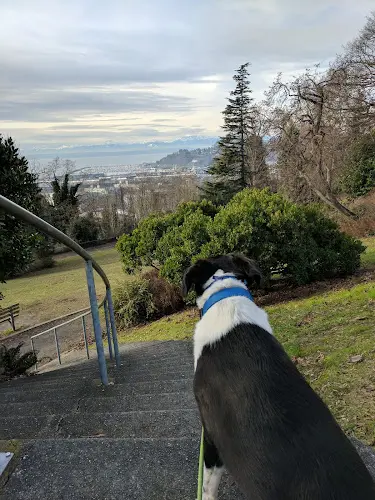Dog Park Kinnear Park Seattle