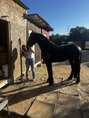 Pet boarding service Rancho Del Amo Carson