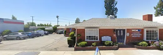 Pet vet Carrie Howes Pasadena