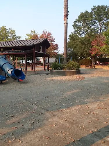 Dog Park Pioneer Park Santa Rosa
