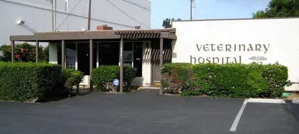 Dog day care center Beach-Garfield Veterinary Hospital Huntington Beach