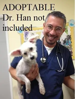 Pet vet Sunnymead Animal Hospital Moreno Valley