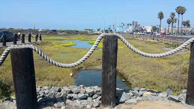 Dog Park Bolsa Chica Ecological Reserve Huntington Beach