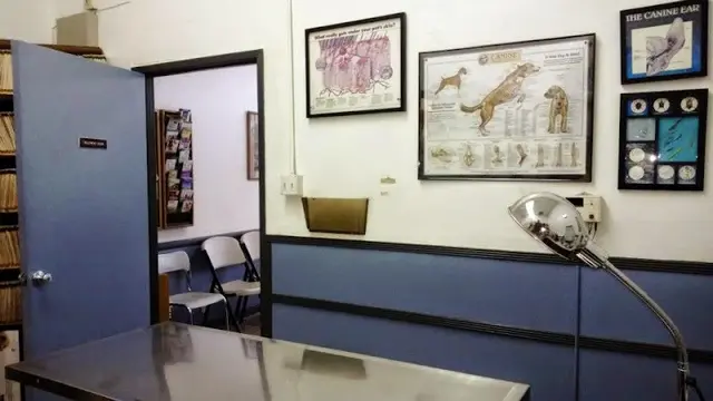 Pet vet Animal Clinic-La Mirada Fullerton