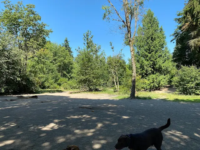 Dog Park Willis Tucker Off-Leash Dog Area Everett
