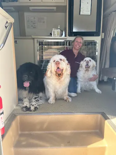 Pet vet The Visiting Vet North County Vista