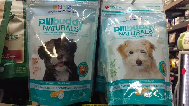 Dog day care center Village Pets & Supplies Santa Rosa