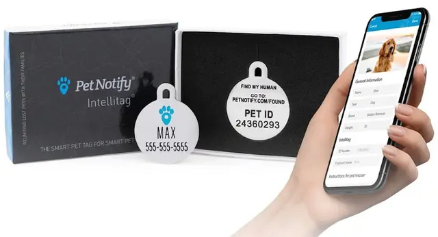 Pet boarding service Pet Notify Bellevue