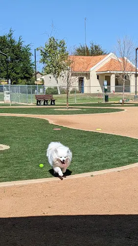 Dog Park Dog Park Temecula