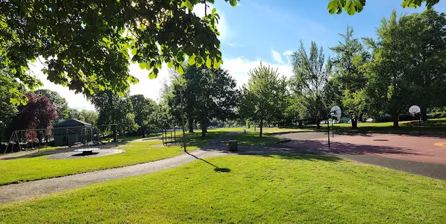 Dog Park Powell Park Portland