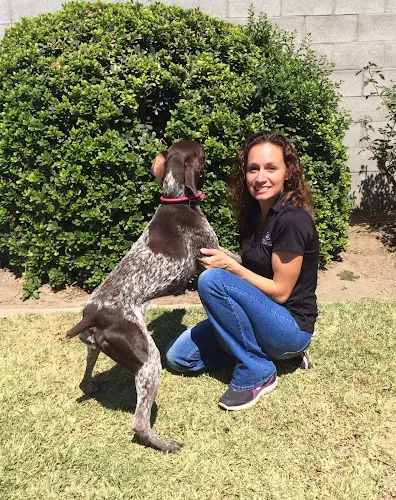 Dog day care center Pet Service Solutions - Pomona Pomona