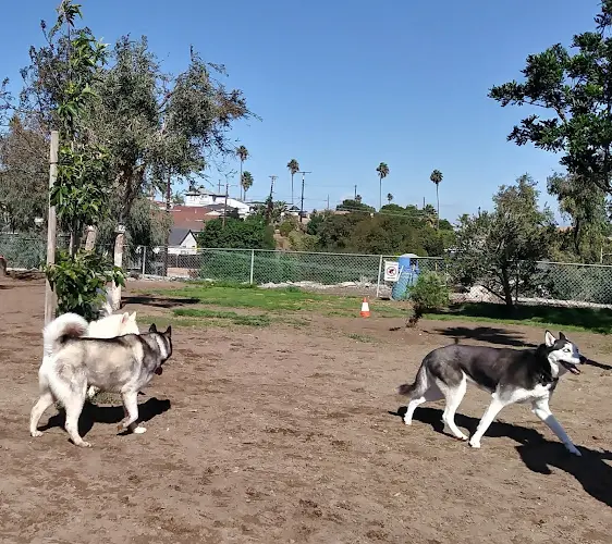 Dog Park Dominguez Park Carson
