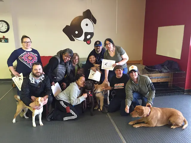 Dog day care center Good CitiZEN Dog Tacoma