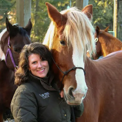 Pet boarding service Willow Creek Ranch LLC Tacoma