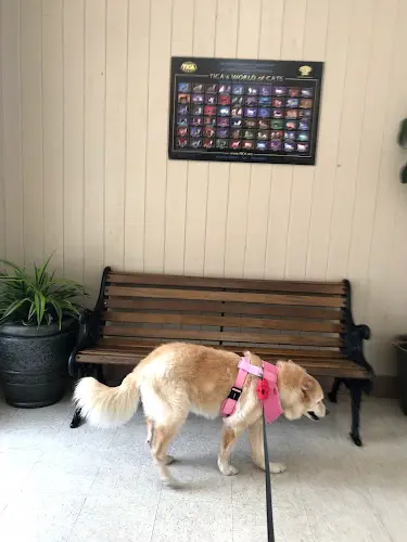 Pet vet Canoga Park Veterinary Center Simi Valley
