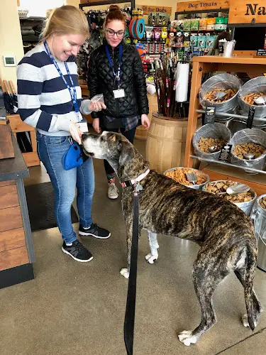 Pet boarding service Mud Bay Bend