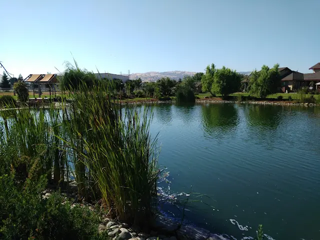 Pet boarding service Greenville Equestrian Center Livermore