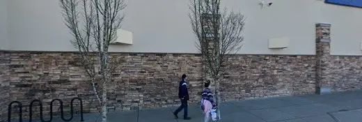 Dog trainer PetSmart Dog Training Everett