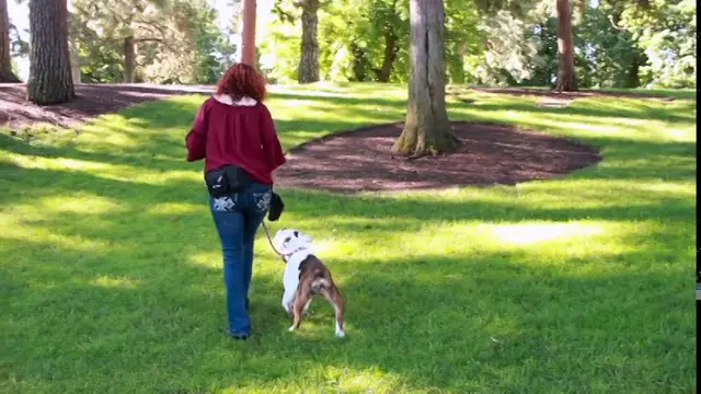 Dog trainer Pack Dynamics LLC Bend