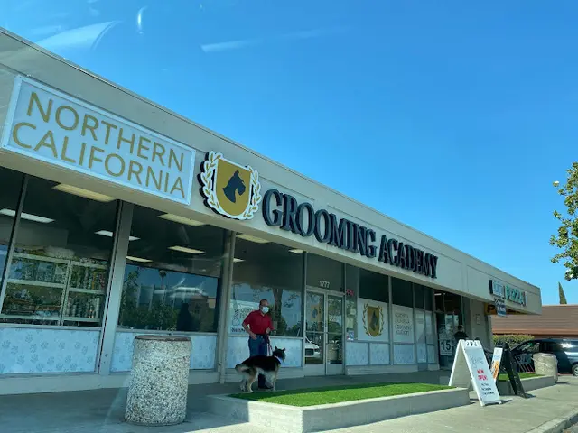 Dog Grooming Northern California Grooming Academy San Jose
