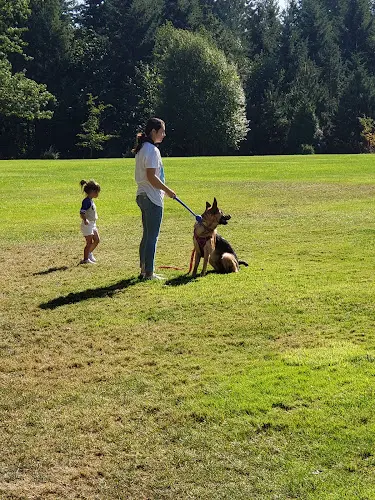 Dog walker Turner Creek Park Hillsboro