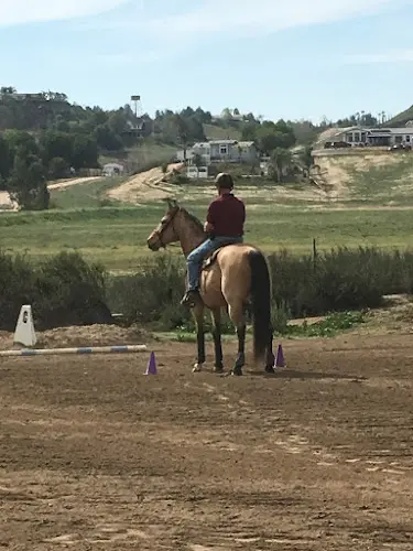 Pet boarding service Rocking T Ranch Temecula