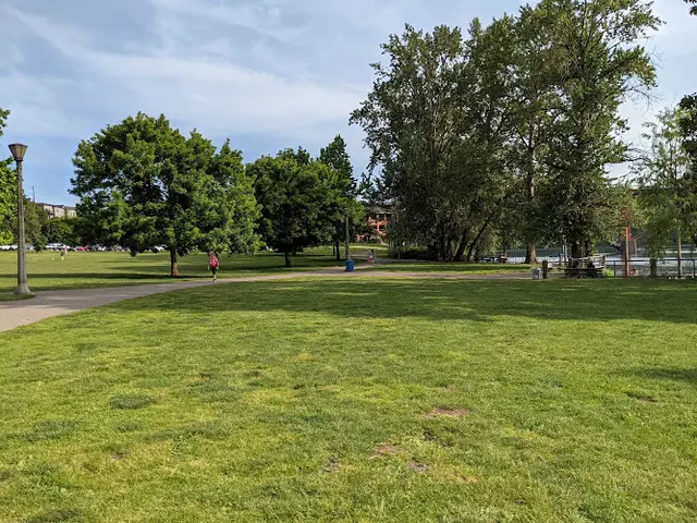 Dog Park Sellwood Park Portland