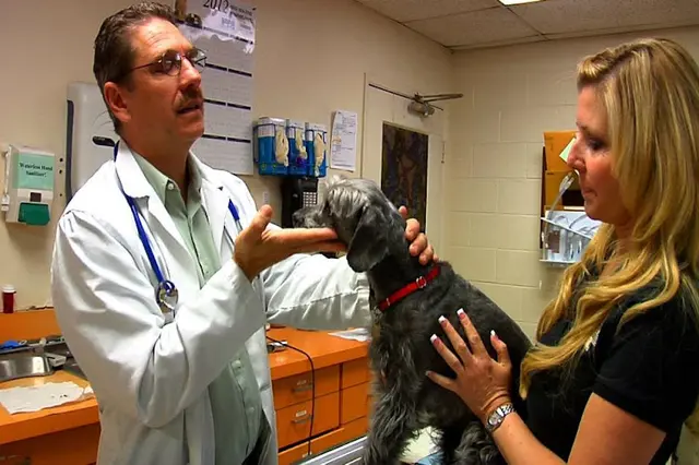 Pet vet Animal Medical Center of Redlands San Bernardino