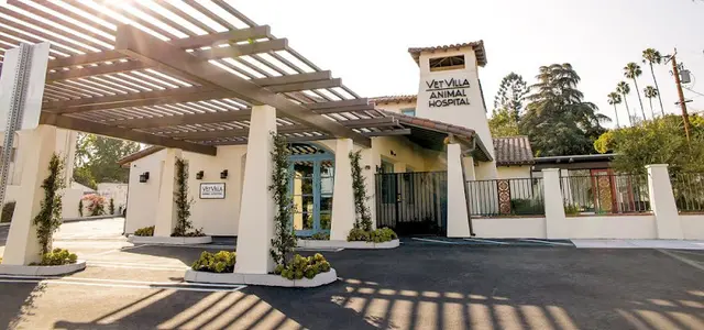 Pet vet Vet Villa Animal Hospital Pasadena