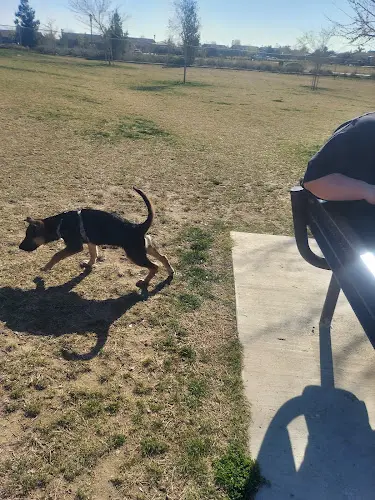Dog Park Bridle Creek Dog Park Bakersfield
