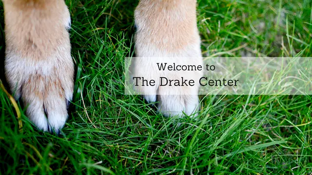 Pet vet The Drake Center for Veterinary Care Oceanside