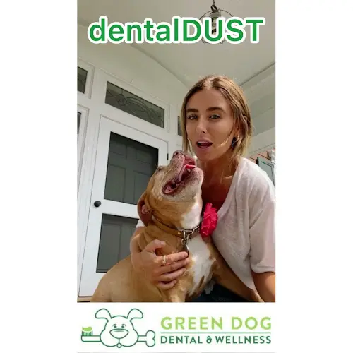 Pet vet Green Dog Dental & Wellness Santa Monica
