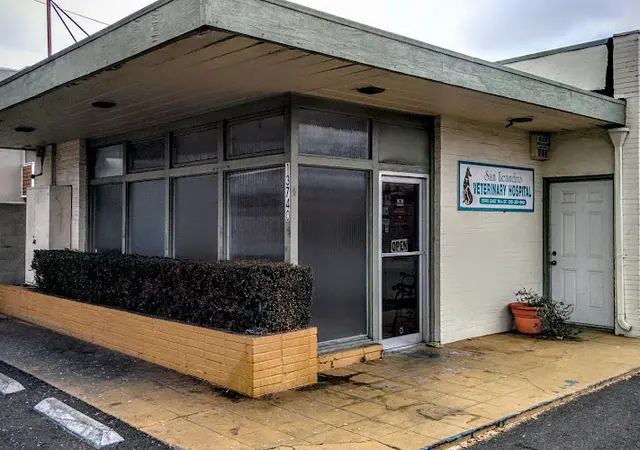 Pet vet San Leandro Veterinary Clinic San Leandro